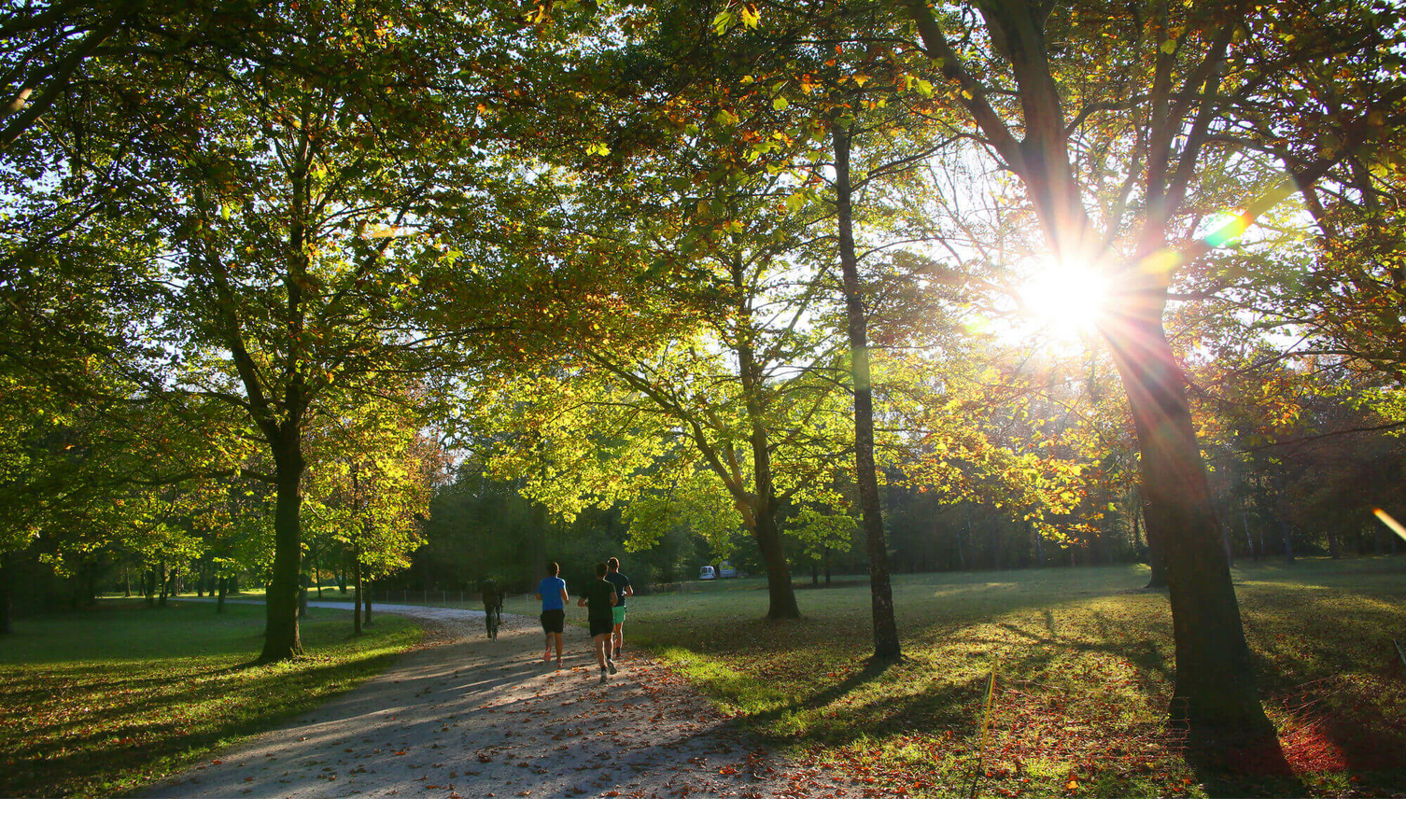 Jogger im Englischen Garten