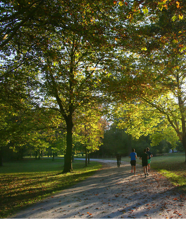 Jogging at the English Garden