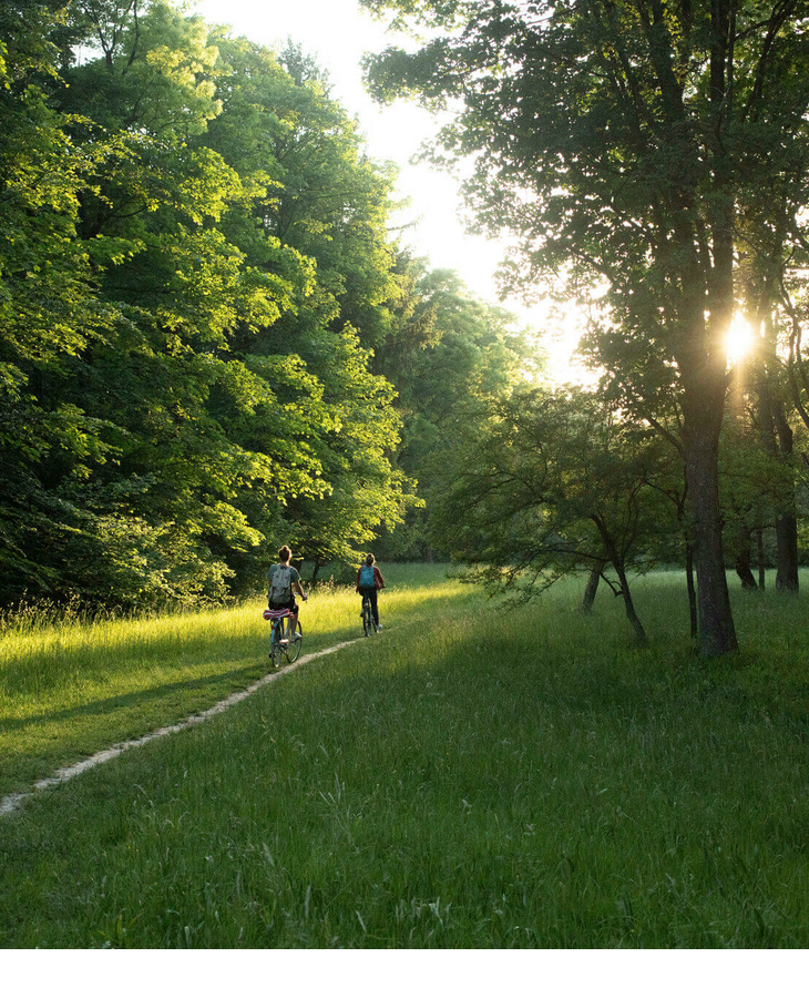 city hike in München